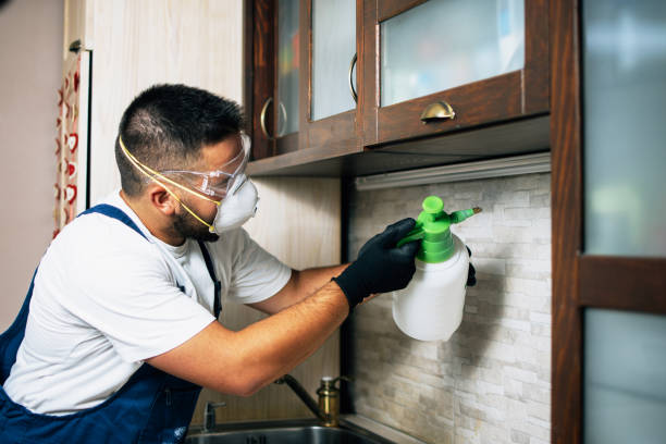 Best Pest Prevention Services  in Brimfield, OH