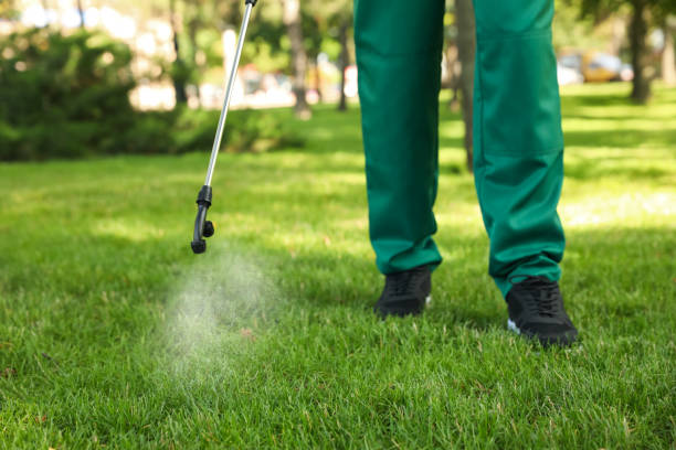 Best Pest Removal Services  in Brimfield, OH