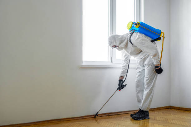 Pest Control for Restaurants in Brimfield, OH