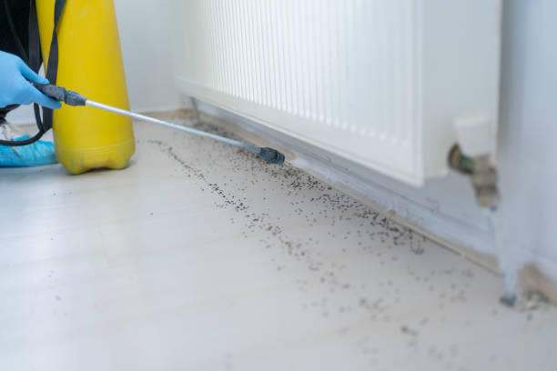 Best Pest Inspection Near Me  in Brimfield, OH