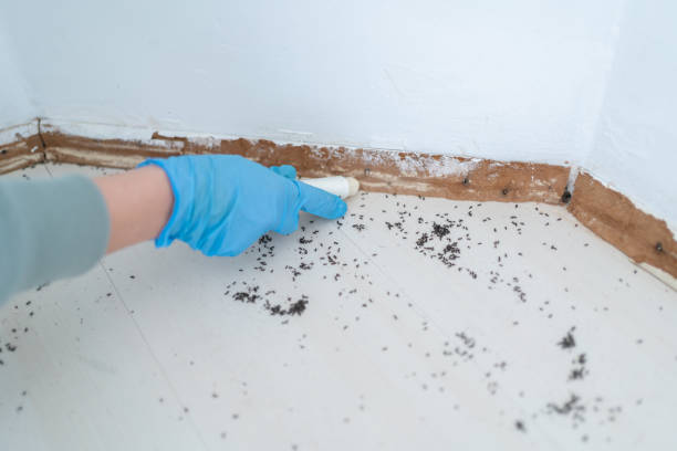 Pest Control Cost in Brimfield, OH