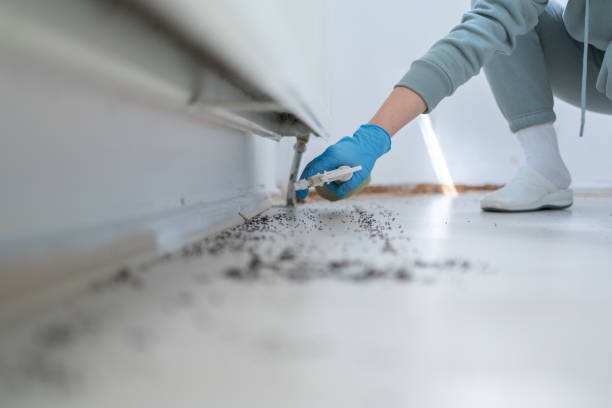 Brimfield, OH Pest Control Company